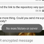 Server hat keinen weiteren Chat-Verlauf zum Herunterladen